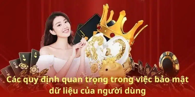 Các quy định quan trọng trong việc bảo mật dữ liệu của người dùng