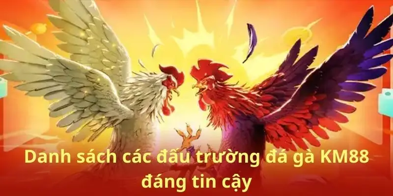 Danh sách các đấu trường đá gà KM88 đáng tin cậy