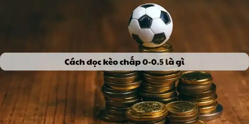 Kèo chấp 0-0.5 là gì? và cách đọc