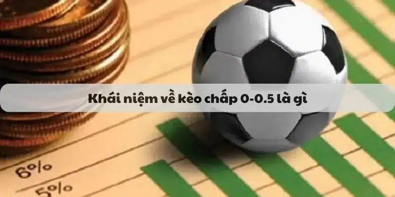 Kèo chấp 0-0.5 là gì