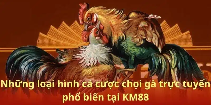 Những loại hình cá cược chọi gà trực tuyến phổ biến tại KM88