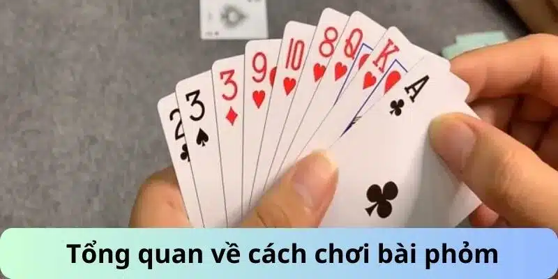 Tổng quan về cách chơi bài phỏm