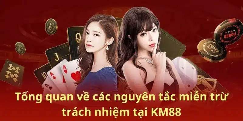 Tổng quan về các nguyên tắc miễn trừ trách nhiệm tại KM88