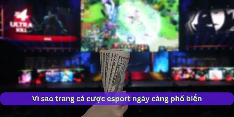 Vì sao trang cá cược esport đang ngày càng phổ biến