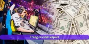 Trang Cá Cược Esport